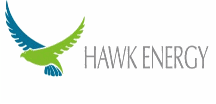Demo Logo